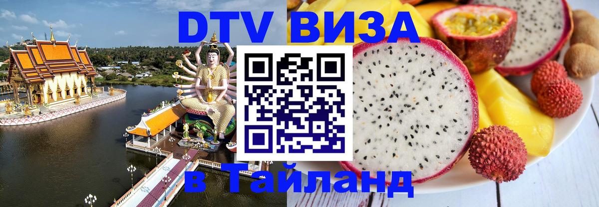 Оформление DTV визы под ключ: стоимость и тарифы, только загранпаспорт - 20.11.2025 